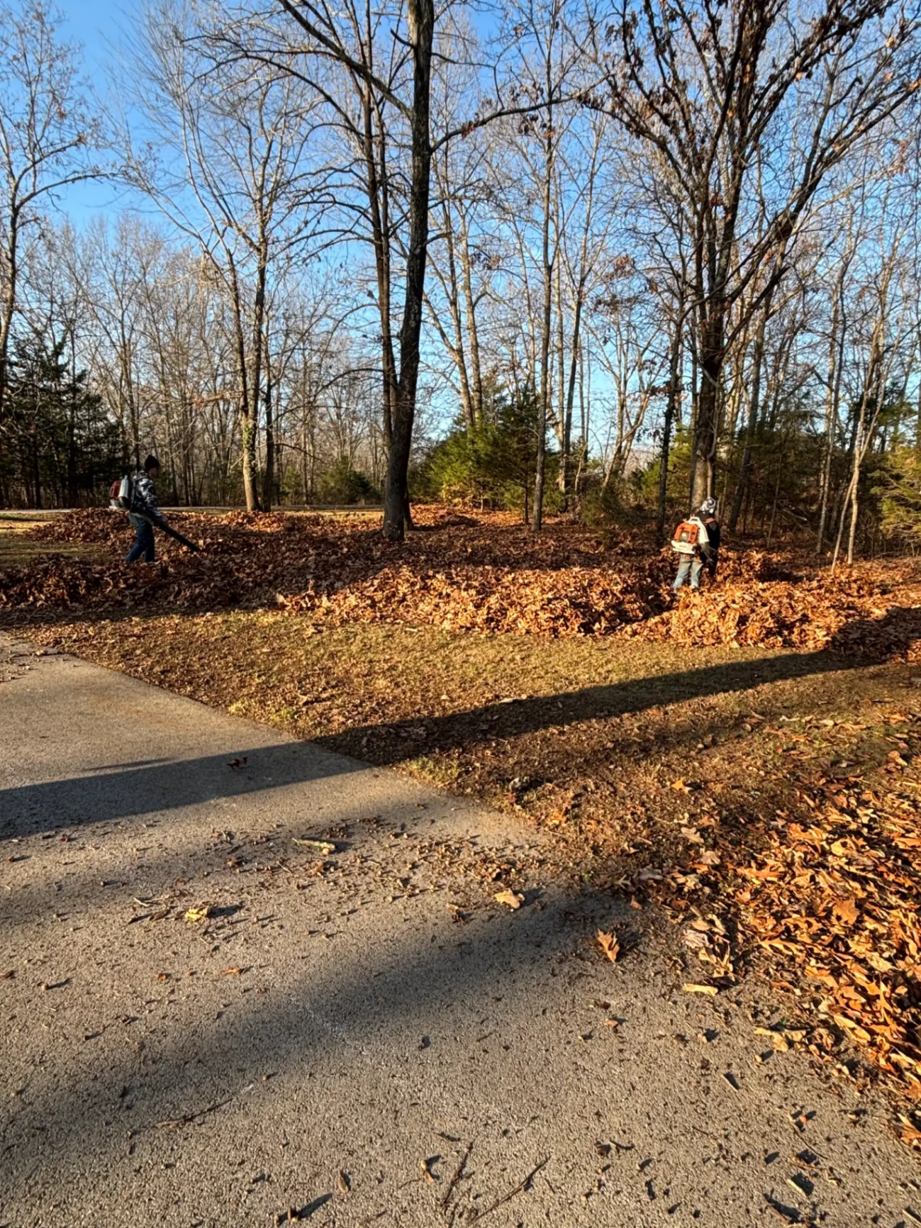 Crew Leaf Cleanup