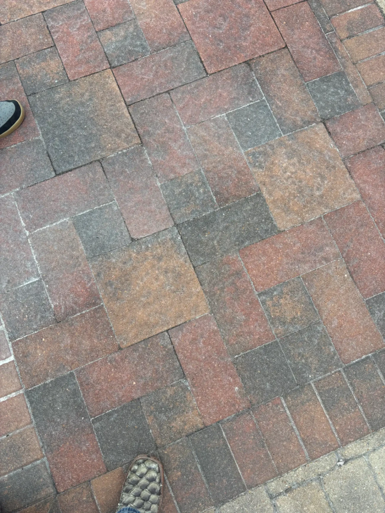 Paver Patio Detail