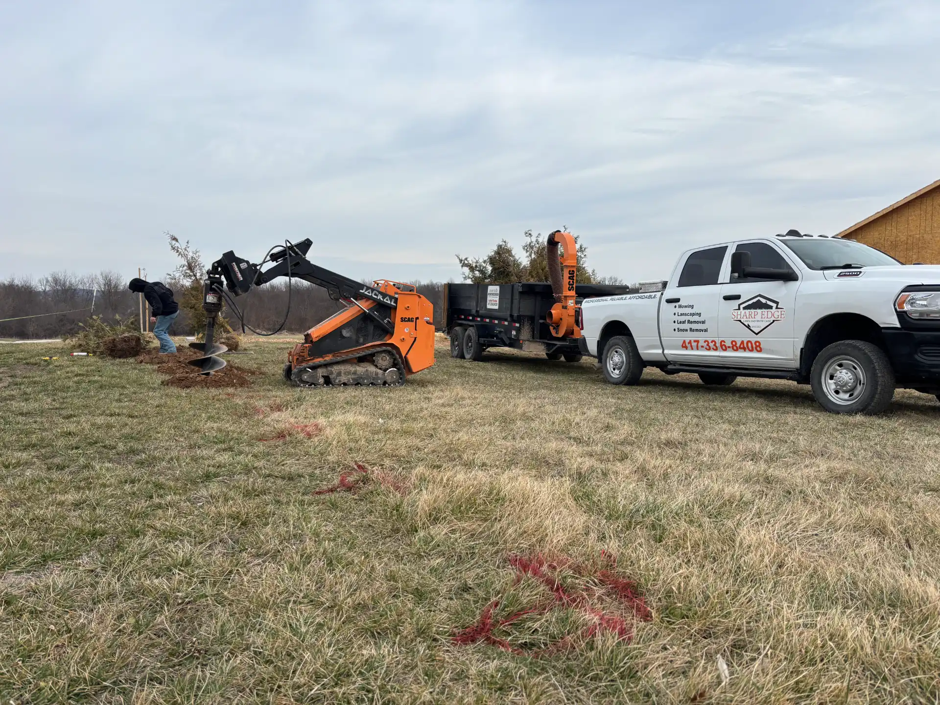 Tree Line Installation